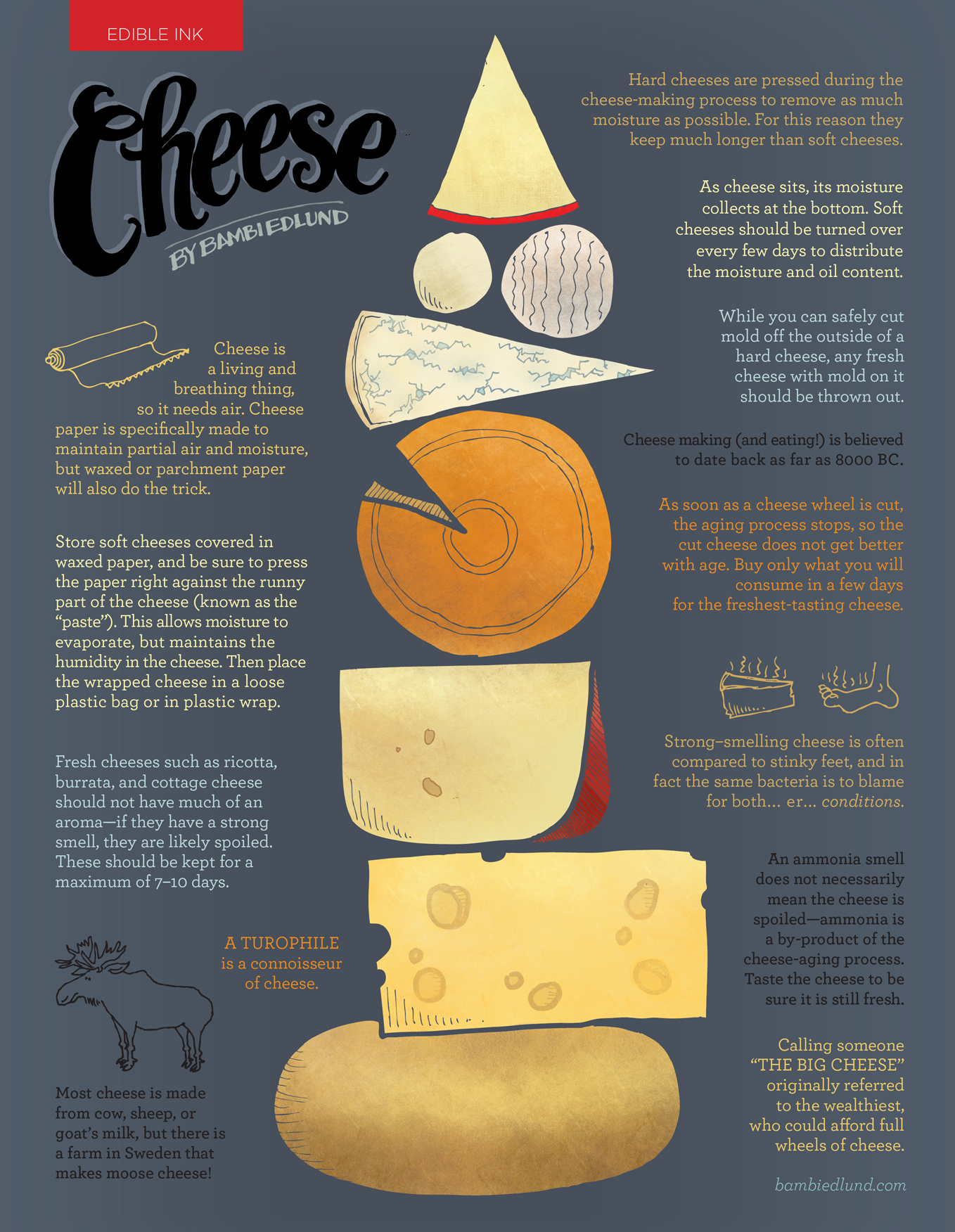 Cheese : A Cultured Favorite (Infographic) | Edible Ink | Edible ...